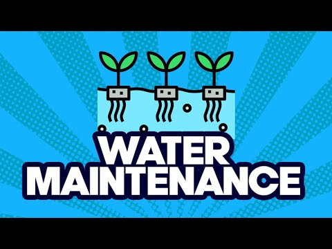 Water Maintenance Pro-Tips [Beginner Hydroponics]
