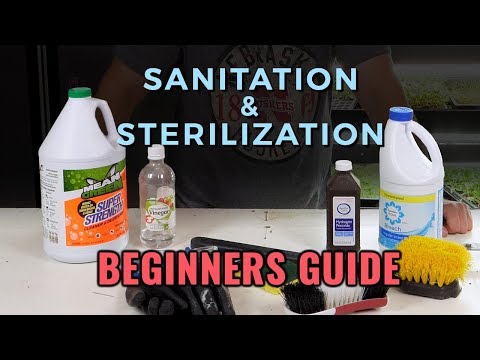 A Beginners Guide: Hydroponic Sanitation &amp; Sterilization