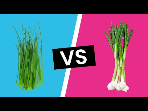 Chives vs Scallions - What&#039;s the Difference?