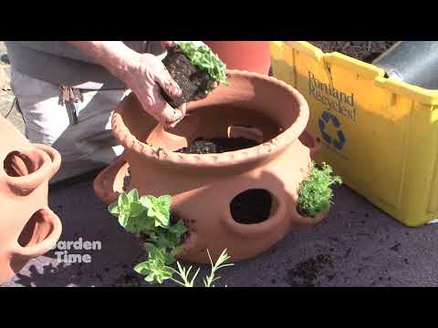 Planting a Herb container