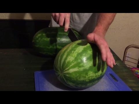 How to pick a Watermelon Listen to tap I show a BAD and GOOD one!!!