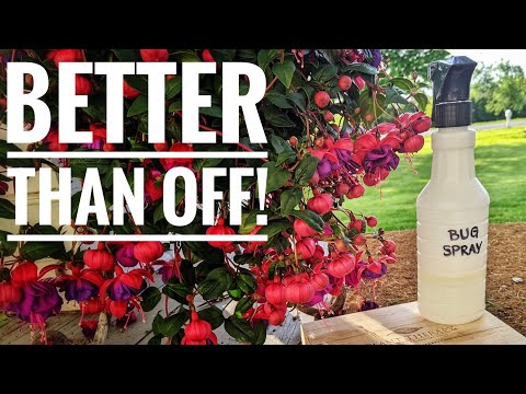 DIY Natural Mosquito &amp; Tick Repellent | Works Amazing, Smells Great, Long Lasting