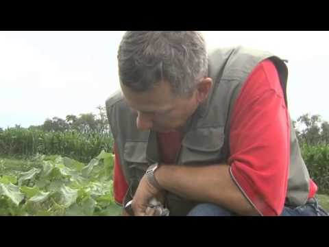 Soil Electrical Conductivity Test