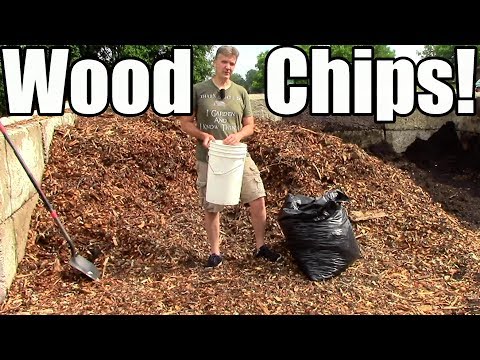How &amp; Why I Use Wood Chip Mulch in the Garden!