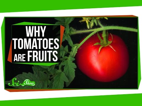 Why Tomatoes Are Fruits, and Strawberries Aren&#039;t Berries