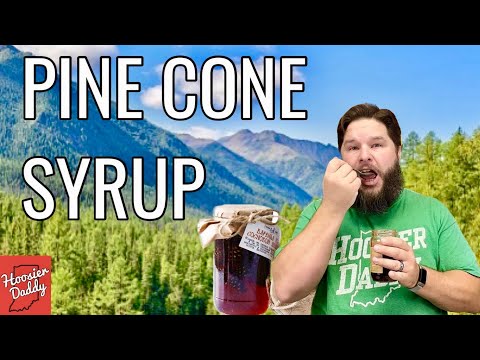 Pine Cone Jam/Syrup Review &amp; Taste Test ￼| Hoosier Daddy
