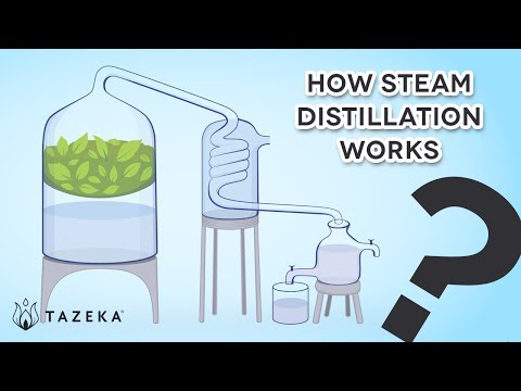 How Steam Distillation Works