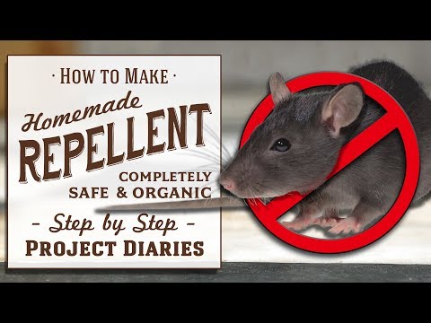 ★ How to: Make Homemade Repellent Spray (Good for Rats, Mice, Squirrels, Bugs, Cats, Deer &amp; Insects)