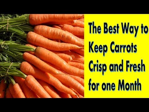 How to Store Carrots Fresh for a Month || How To Preserve Carrots for a Month
