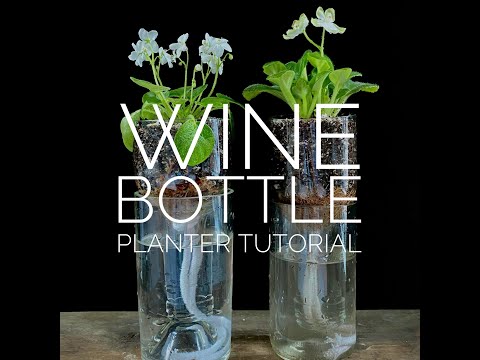 Upcycled DIY Self-watering Wine Bottle Planter Tutorial