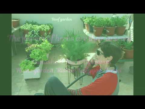 The flavors of herbs are their arsenal