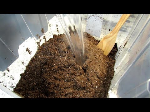 Seed Starting Basics: Sterilizing Your Mix, Thumb Packing Cells, Over-Seeding Herbs &amp; Onions