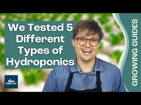 Hydroponics Systems side-by-side - Aeroponics vs Drip, Kratky and DWC