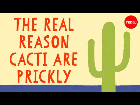 Nature&#039;s fortress: How cacti keep water in and predators out - Lucas C. Majure