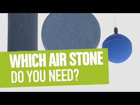 Which Air Stone Do You Need?
