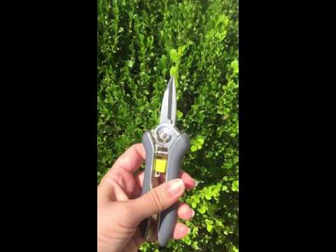 Gardenite ultra snip 6.7 inch pruning shear Amazon review Kristi