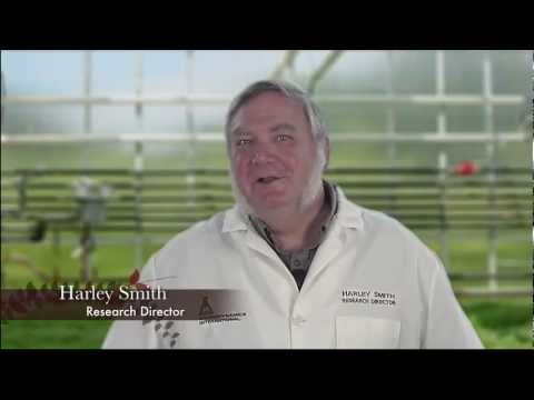 How to clone plants using Clonex and Root Riot