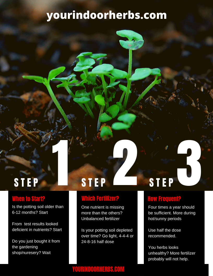 ThreeStepsFertilizing Your Indoor Herbs and Garden