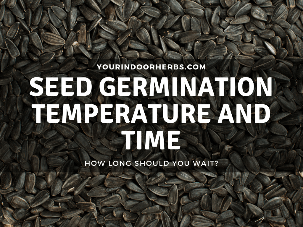Seeds Germination Time and Temperature for 47 Herbs and Vegetables