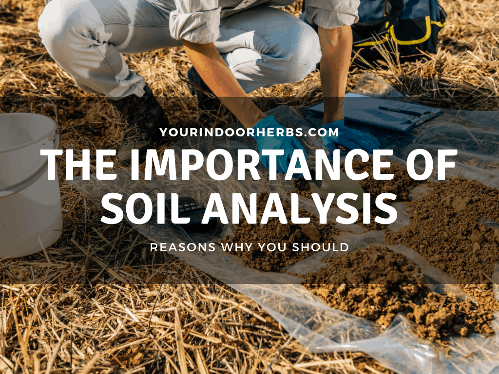 thesis on soil analysis