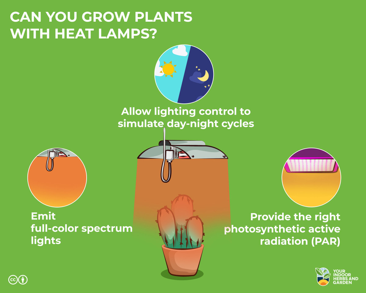 Heat lights for plants discount