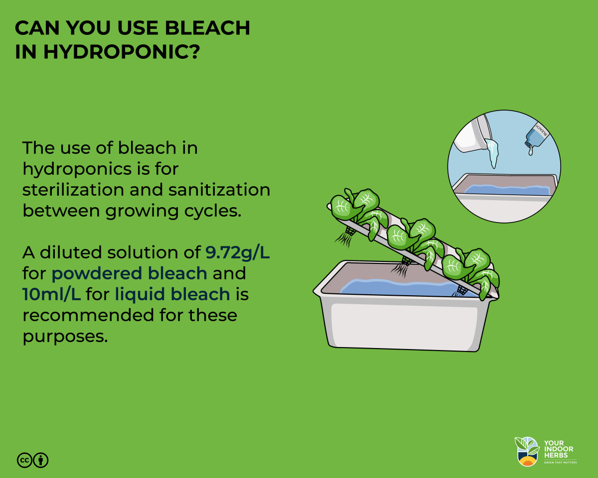 Bleach in Hydroponics? Use Cases, Tips, and Alternatives Your Indoor