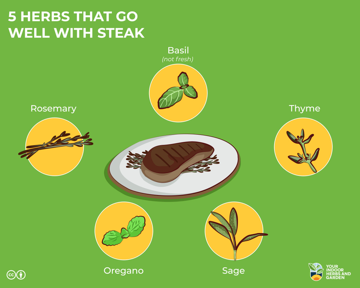 5 Herbs That Go Well With Steak How To Use Them Your Indoor Herbs 