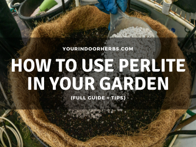 Is Too Much Perlite Bad for Plants? (Tips on How to Use It) | Your ...